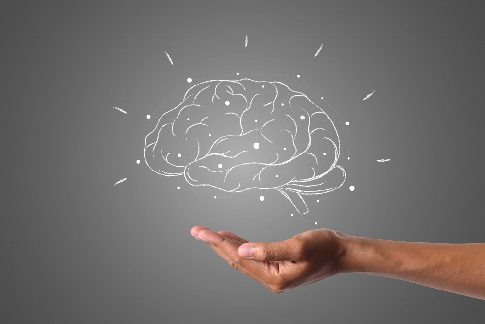 Entrepreneurs Logical Thinkers