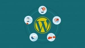 Blogging For Money: Starting Your Very Own Web Business!