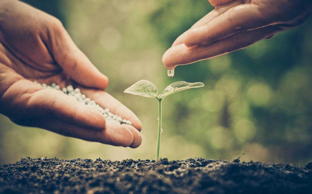 Scaling Your Income