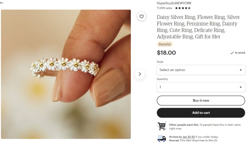 Scam Etsy Listing