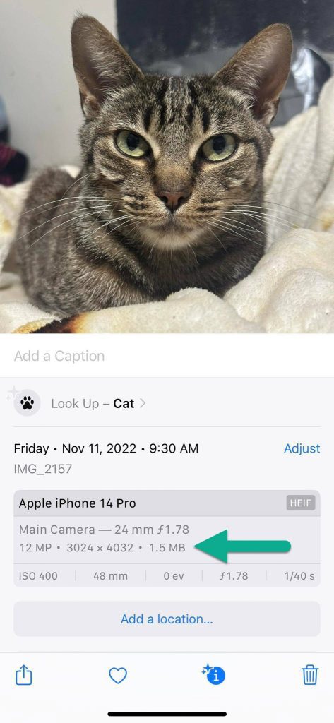 iPhone Photo File Size Example