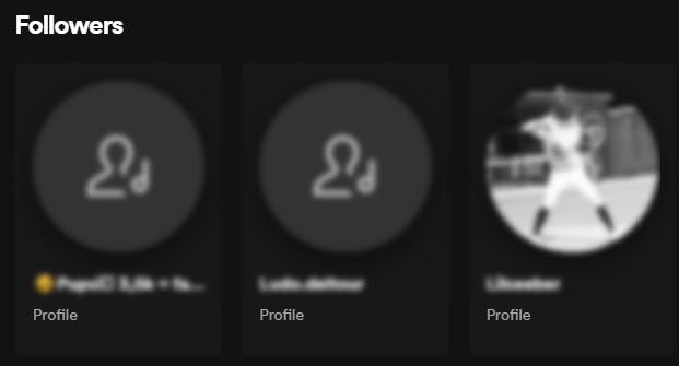 Spotify Followers